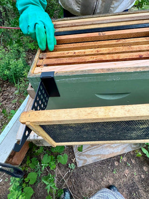 Frame Inspection Holders