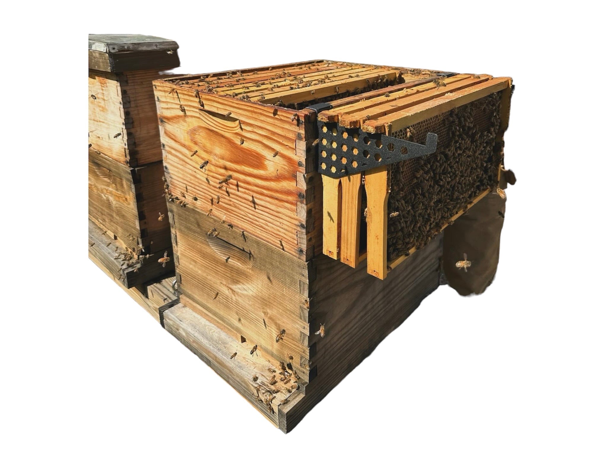 Bee Frame Inspection Rack Frame Inspection Holders for Beekeeping Apiculture